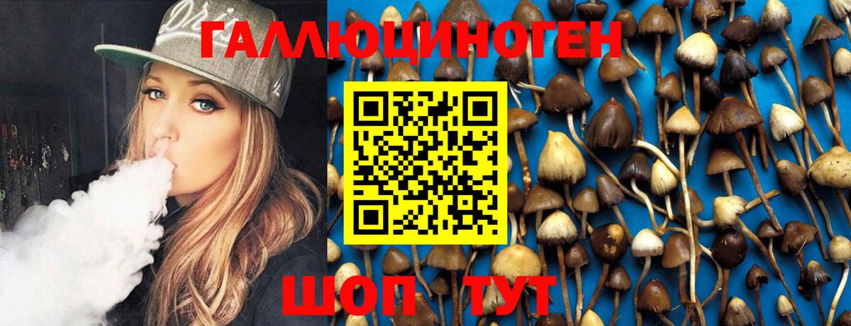 Псилоцибиновые грибы MAGIC MUSHROOMS  где купить наркоту  Елизово  Вход с VPN 